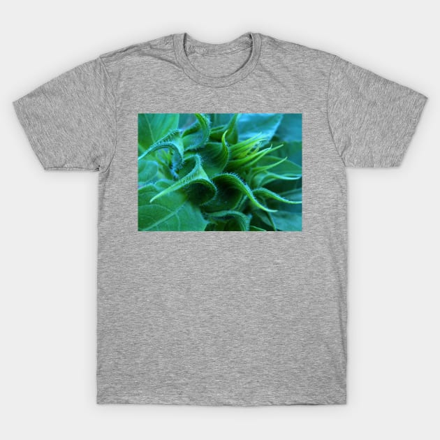 Sunflower Bud T-Shirt by LaurieMinor